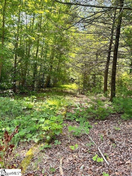 1299 Singleton Rd, Westminster, SC 29693