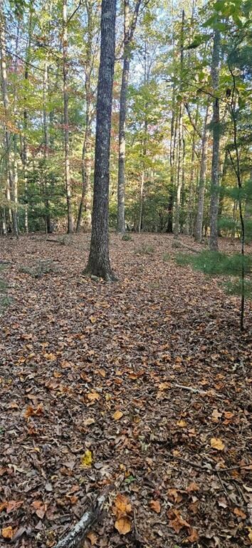 5 Gold Mine Rd, Morganton, GA 30560