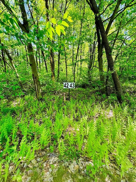 LOT 42 Paradise Rd, Todd Township, PA 16657