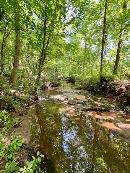 1971 Cr 266, Lanett, AL 36863