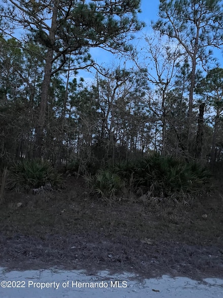 0 Malibar Rd Unit 2252900, Weeki Wachee, FL 34614