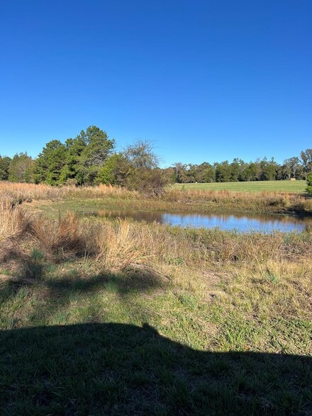 8451 Fm 317, Athens, TX 75752