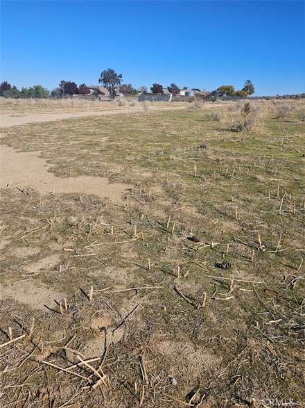 0 111th St E, Pearblossom, CA 93553