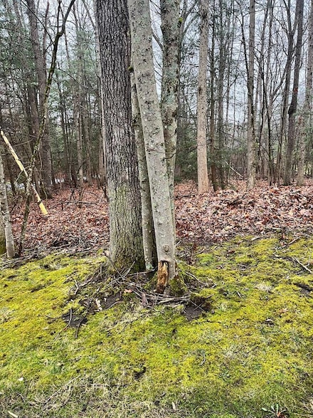 00 Timber Ridge Dr, Beckley, WV 25801