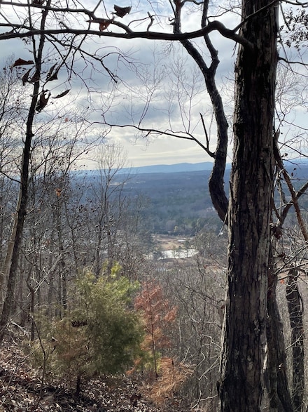 0 Alabama Hwy Unit 21222630, Rock Spring, GA 30739