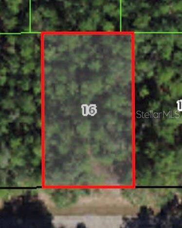 368 E Mc Faddin Place, Citrus Springs, FL 34434