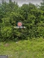 1255 Ell St, Macon, GA 31206