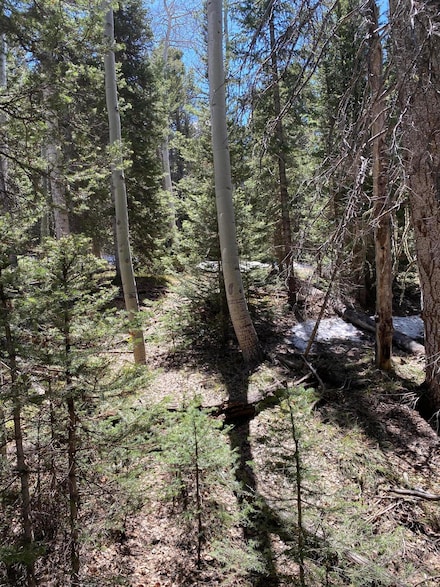 433 Juniper Dr Unit 12, Cimarron, CO 81220