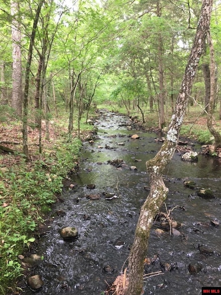 Tract A Deer Haven Trail, Salem, AR 72576