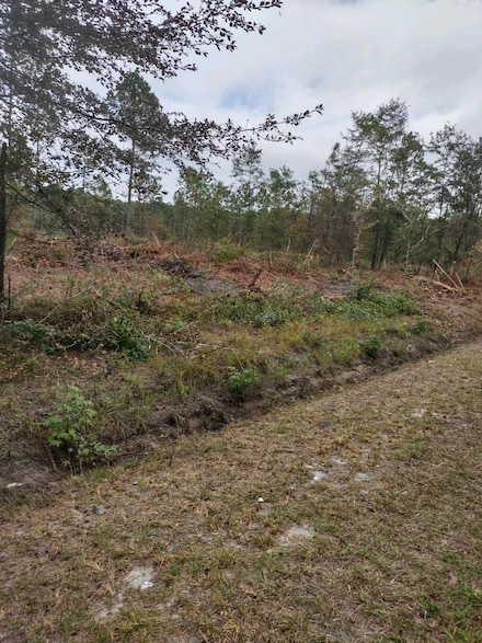 001 Rehoboth Rd, Cottageville, SC 29435