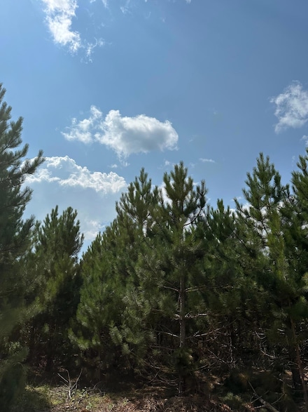ON Cth Y Unit Lot 4, Tomahawk, WI 54487