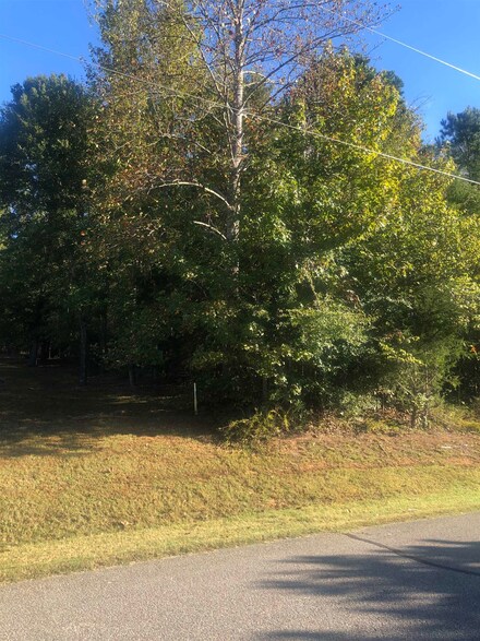 lot 52 Featherfoot Loop, Parsons, TN 38363