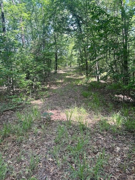 0 S Rosser Rd Unit 23777539, Tuscaloosa, AL 35405