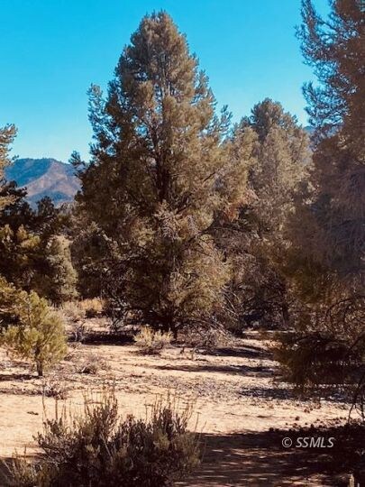 0 Conifer Unit 2607090, Kennedy Meadows, CA 93527