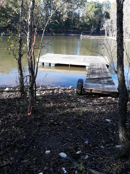 43 Lewis Rd, Clarksville, VA 23927