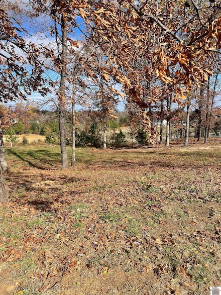 Lot 94 Forest Ridge Dr, Paducah, KY 42003