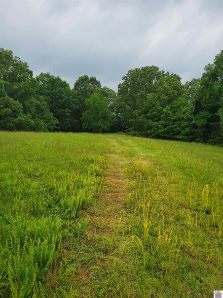 738 Rednour Rd, Smithland, KY 42081