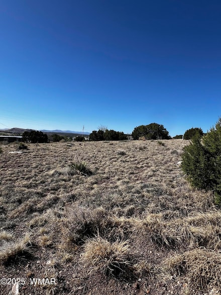 58 Short Ln, Concho, AZ 85924