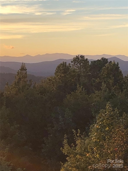 000 Mountain Lookout Dr Unit Lot 82, Bostic, NC 28040