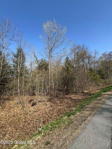 522 N Creek Rd, Greenfld Ctr, NY 12833