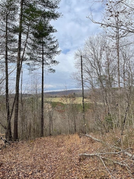 70-131 Estaline Valley Rd, Craigsville, VA 24430