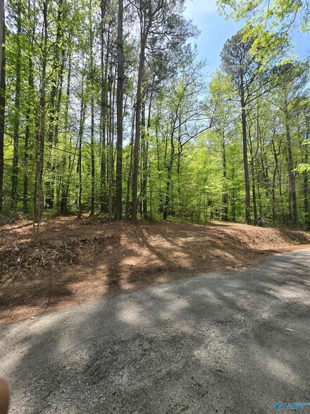 Lot 23 Shoreland Cir, Scottsboro, AL 35769