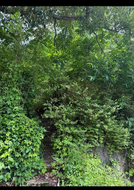 365 Fair St SE, Cleveland, TN 37311