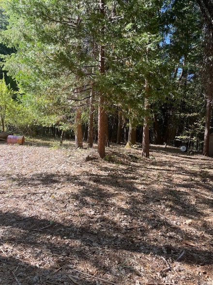 0 Railfence Rd Unit 225056391, Alta, CA 95701