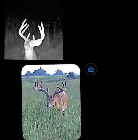 736 Road, Nemaha, NE 68414