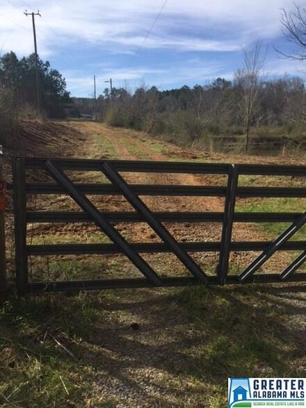 52200 Alabama 79 Unit 29.9 ac, Blountsville, AL 35031