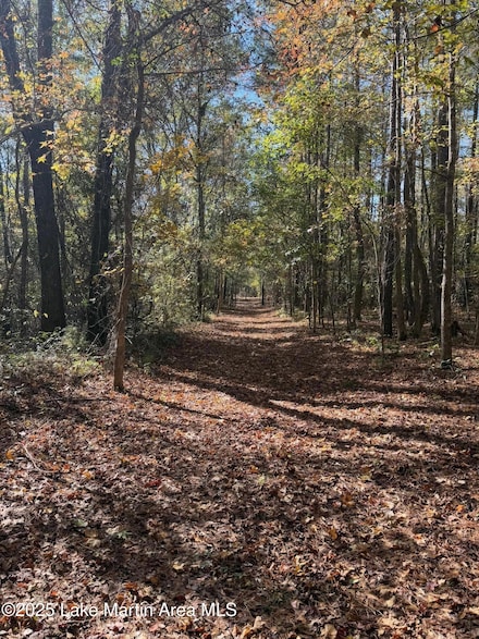 0 Greenwood Rd, Tallassee, AL 36078