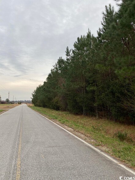TBD Boggy Branch Rd, Nichols, SC 29581
