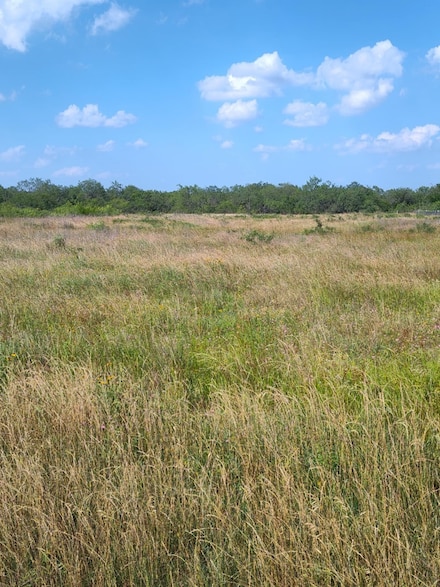 49 Boren Rd, Wortham, TX 76693
