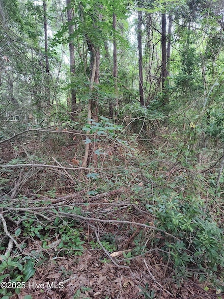 106 Taylor, Hubert, NC 28539