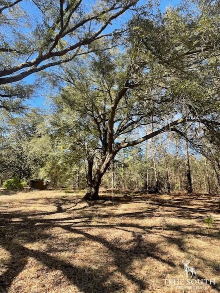 396 Stock Farm Rd, Ridgeland, SC 29936