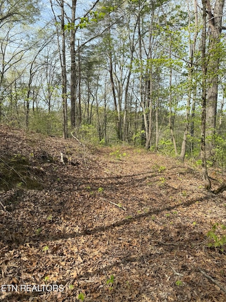 0 Citico Rd Unit 1298030, Vonore, TN 37885