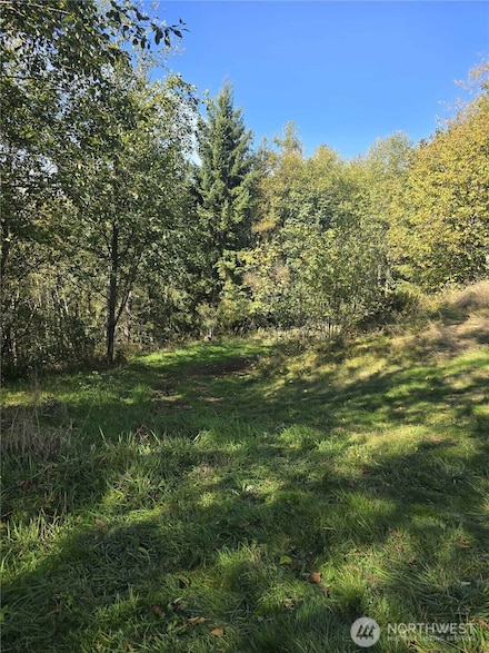 0 2500 Rd Unit NWM2376786, Toutle, WA 98649