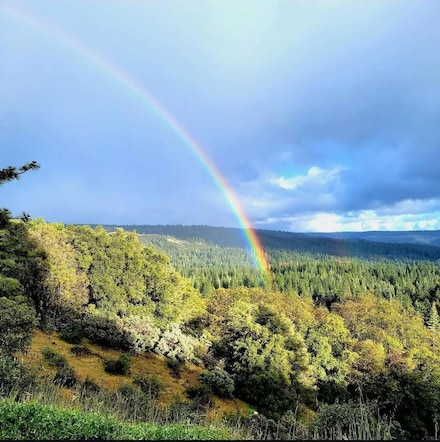27035 N Bloomfield Rd, Nevada City, CA 95959
