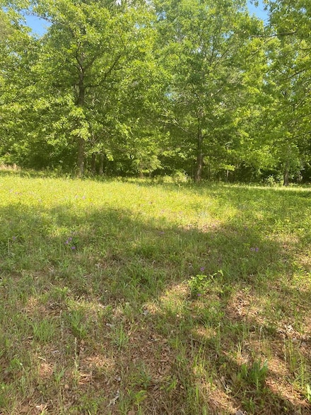 60 Crabapple Dr, Hawkinsville, GA 31036