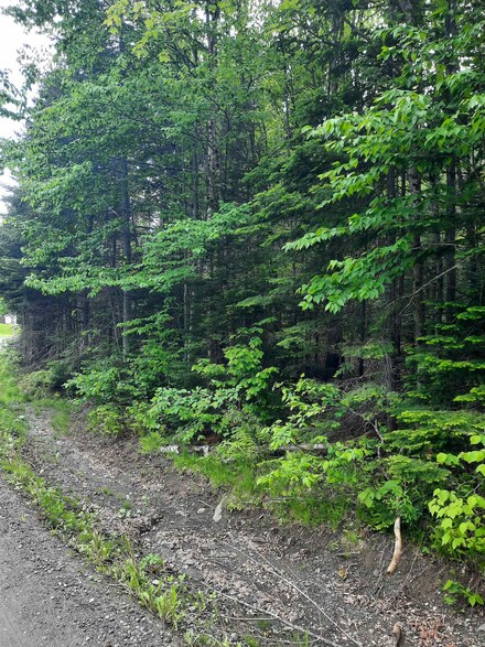 C6-443 Varney Rd, Pittsburg, NH 03592