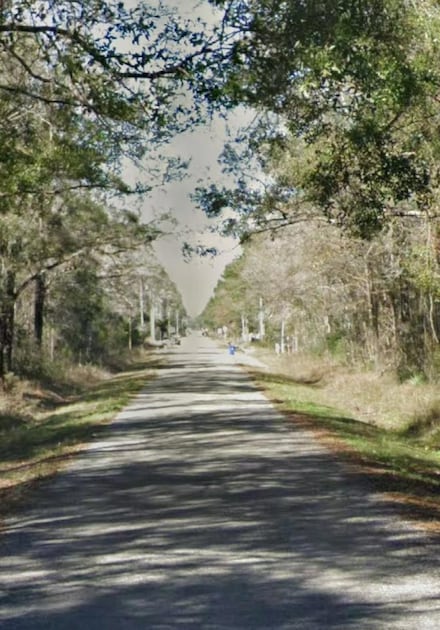 10065 Mcmahon Ave, Flagler Estates, FL 32145