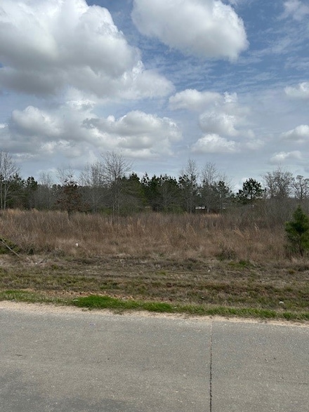207 County Road 3581, Cleveland, TX 77327