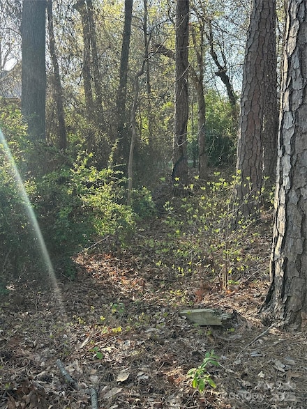 L3 Trellis Ln Unit L3, Troutman, NC 28166