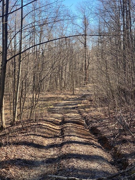 0 King Mountain Rd Unit 203478, Kings Mountain, TN 38577