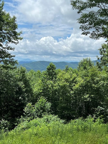 TBD Holiday Ln, Whitetop, VA 24292