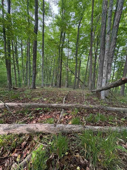 TBD Erie St Unit Parcel D, East Jordan, MI 49727