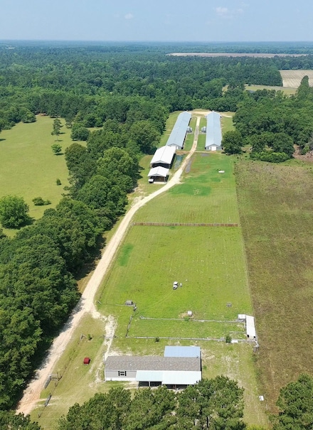 2121 Whitetail Rd, Blackville, SC 29817