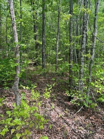 0 Wilson Ridge Rd, Jamestown, TN 38556