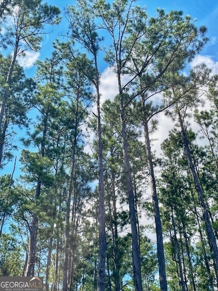 0 Incachee Rd Unit 10580606, Waverly, GA 31565