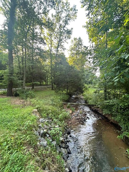 3.9 Acres County Road 212, Collinsville, AL 35961